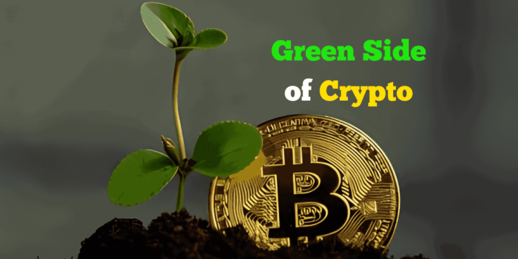 Green Side of Crypto