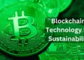 Blockchain Technology in sustainable business practices
